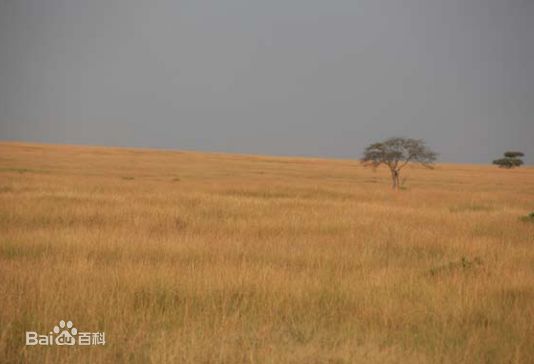 袁茵(Angela)拍摄的照片生活照
