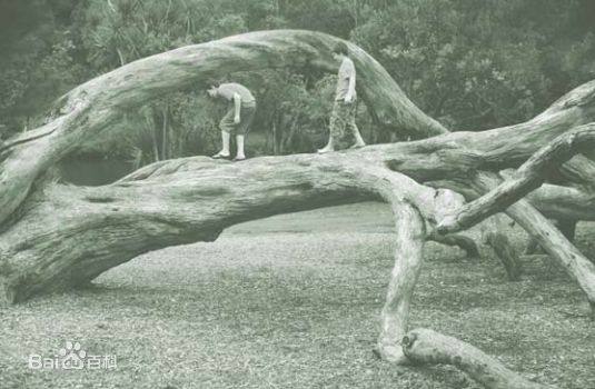 袁茵(Angela)拍摄的照片生活照