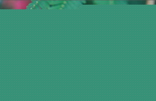 袁茵(Angela)拍摄的照片生活照