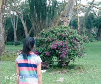 袁茵(Angela)拍摄的照片生活照