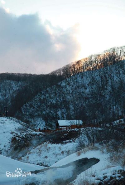 袁茵(Angela)拍摄的照片生活照