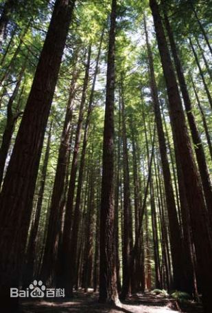 袁茵(Angela)拍摄的照片生活照