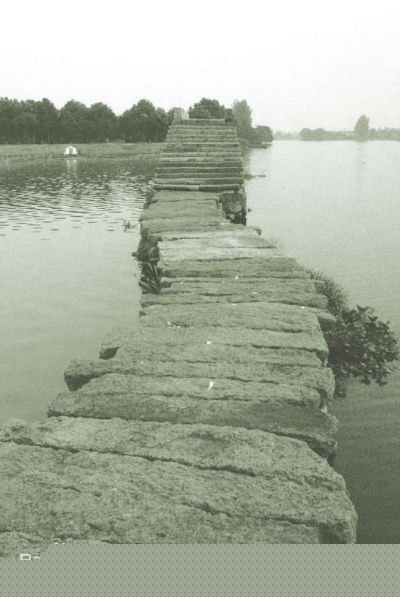 袁茵(Angela)拍摄的照片生活照