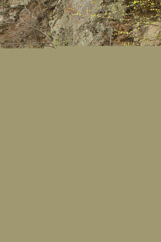 杨竣羽(Ken)冷枪素颜照相册