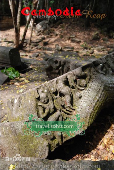 最优质叶一茜精彩图册