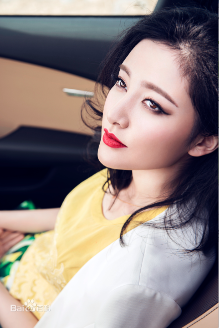 崔心心精选14年汽车杂志图册