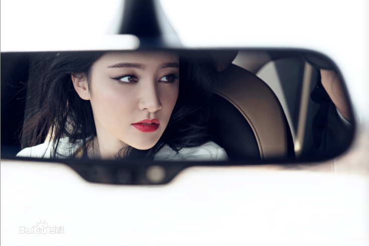 崔心心精选14年汽车杂志图册