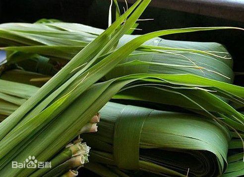 芦苇叶素颜照相册