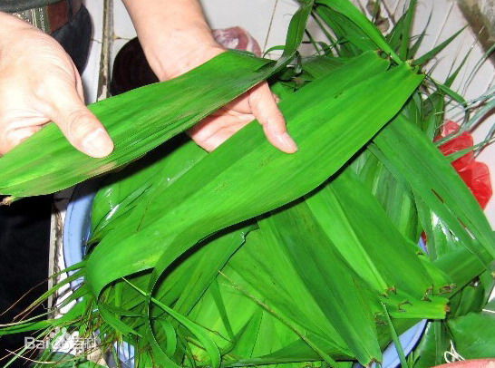 芦苇叶包粽子性感图片图集