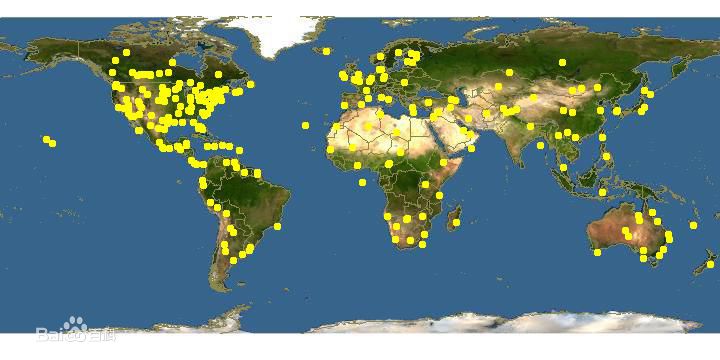 高清芦苇性感图片