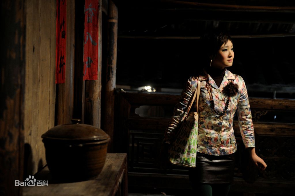 霍泥芳现代戏高清剧照