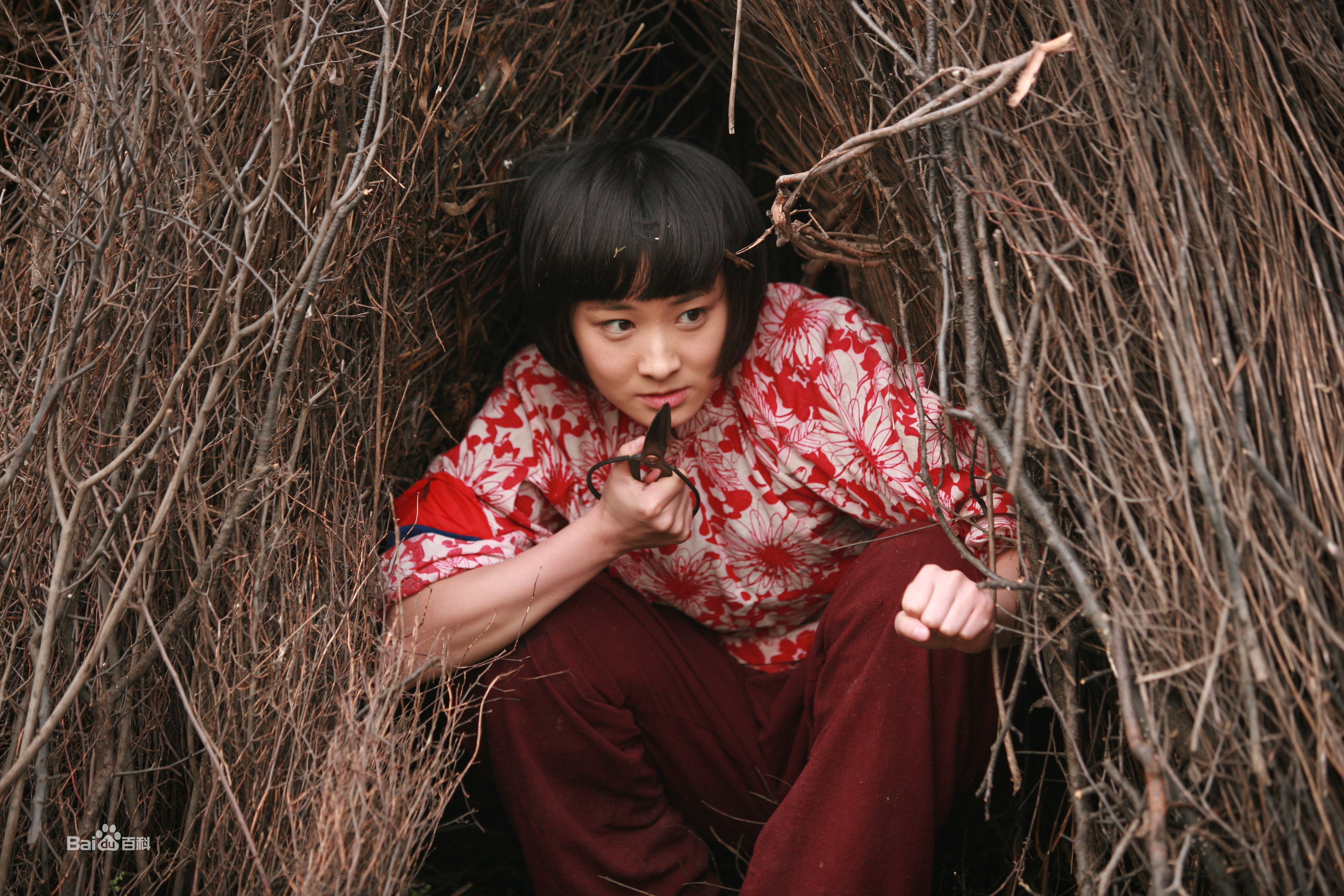 霍泥芳年代戏最全剧照