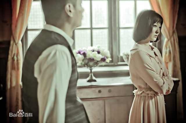 霍泥芳年代戏最全剧照