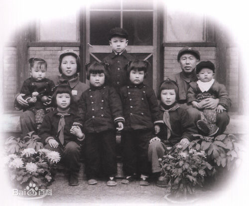 王平亲属成员壁纸壁纸