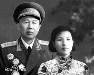 王平亲属成员壁纸壁纸