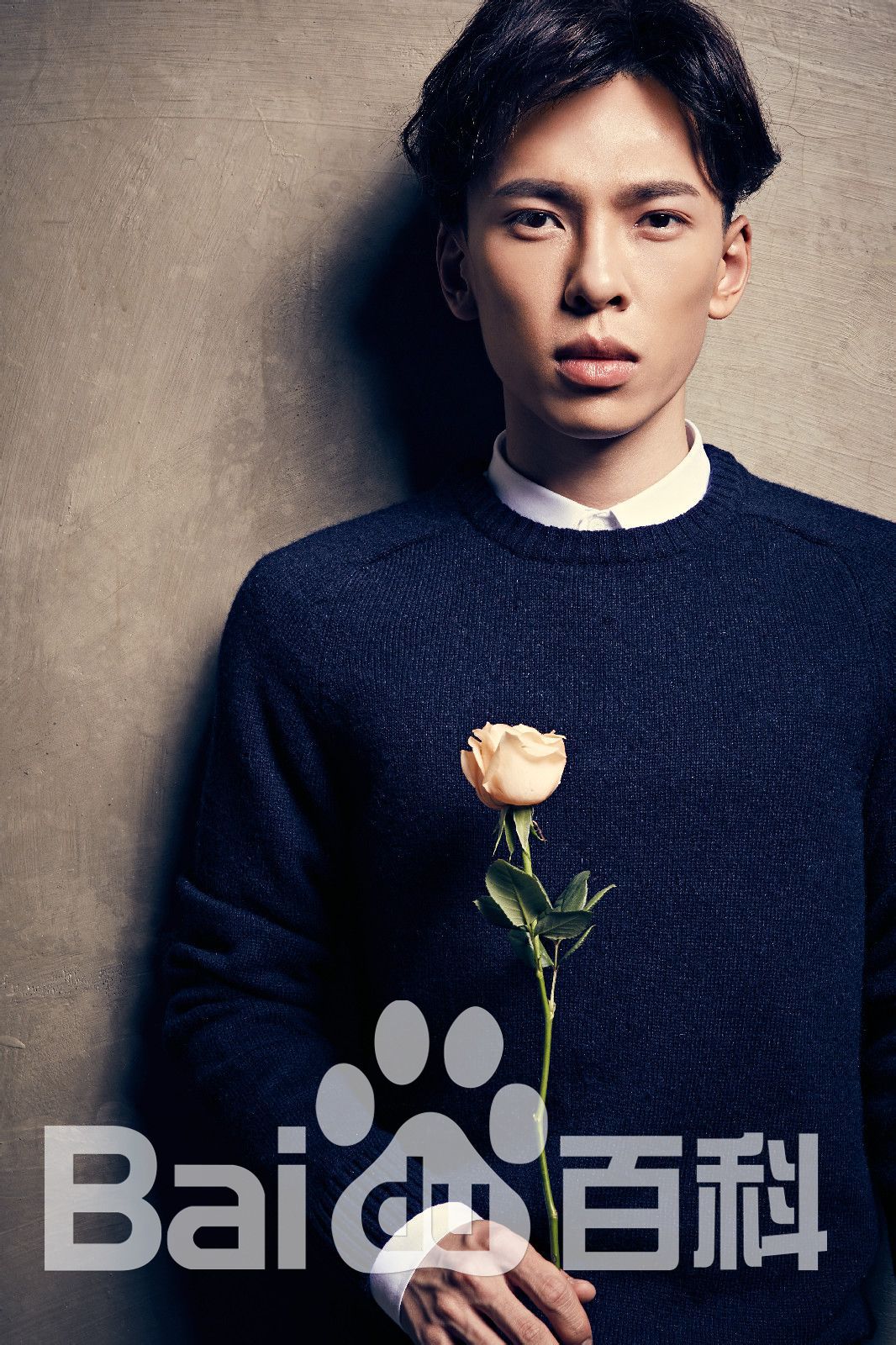 蒋雪鸣最全壁纸