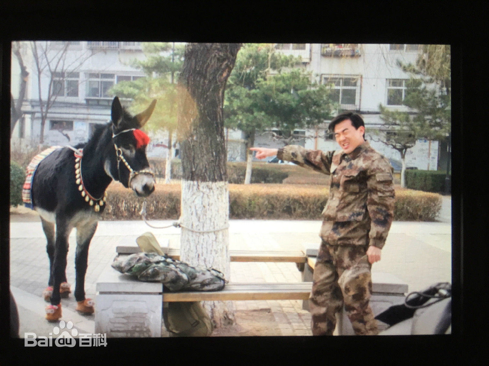 黄成麟(Huang Chenglin)剧照