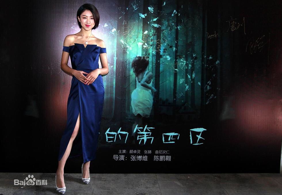 陈鹏翱在电影《梦的第四区》发布会中的