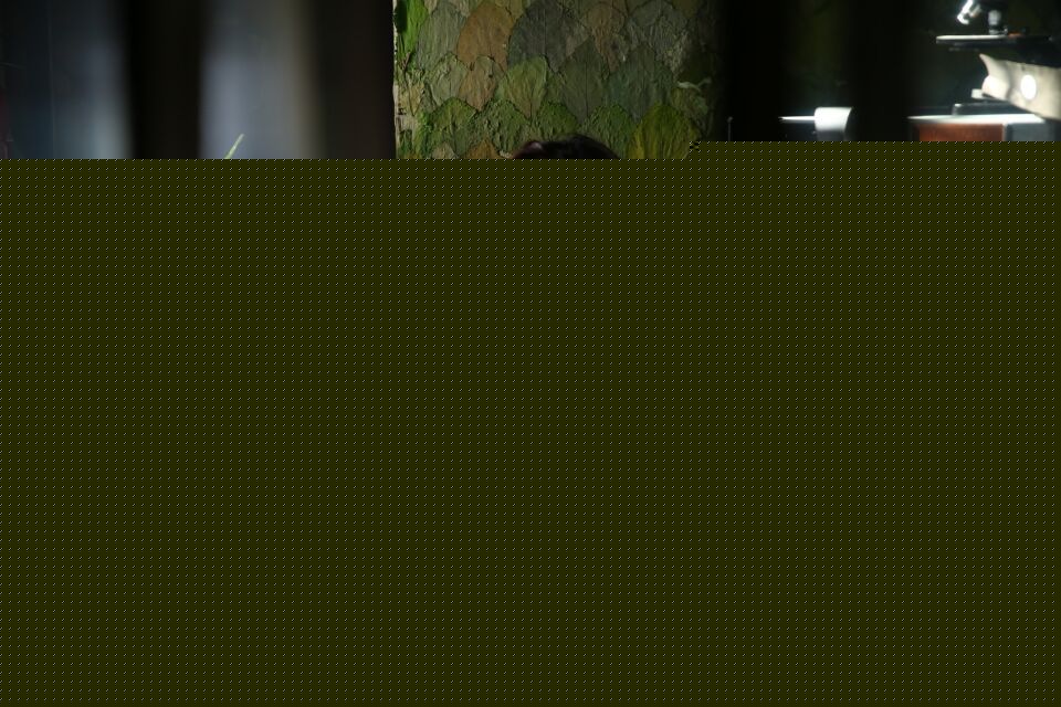 韩朔(leslie)最优质相册