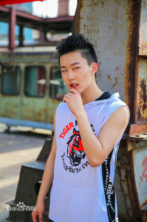 最全刘云龙壁纸