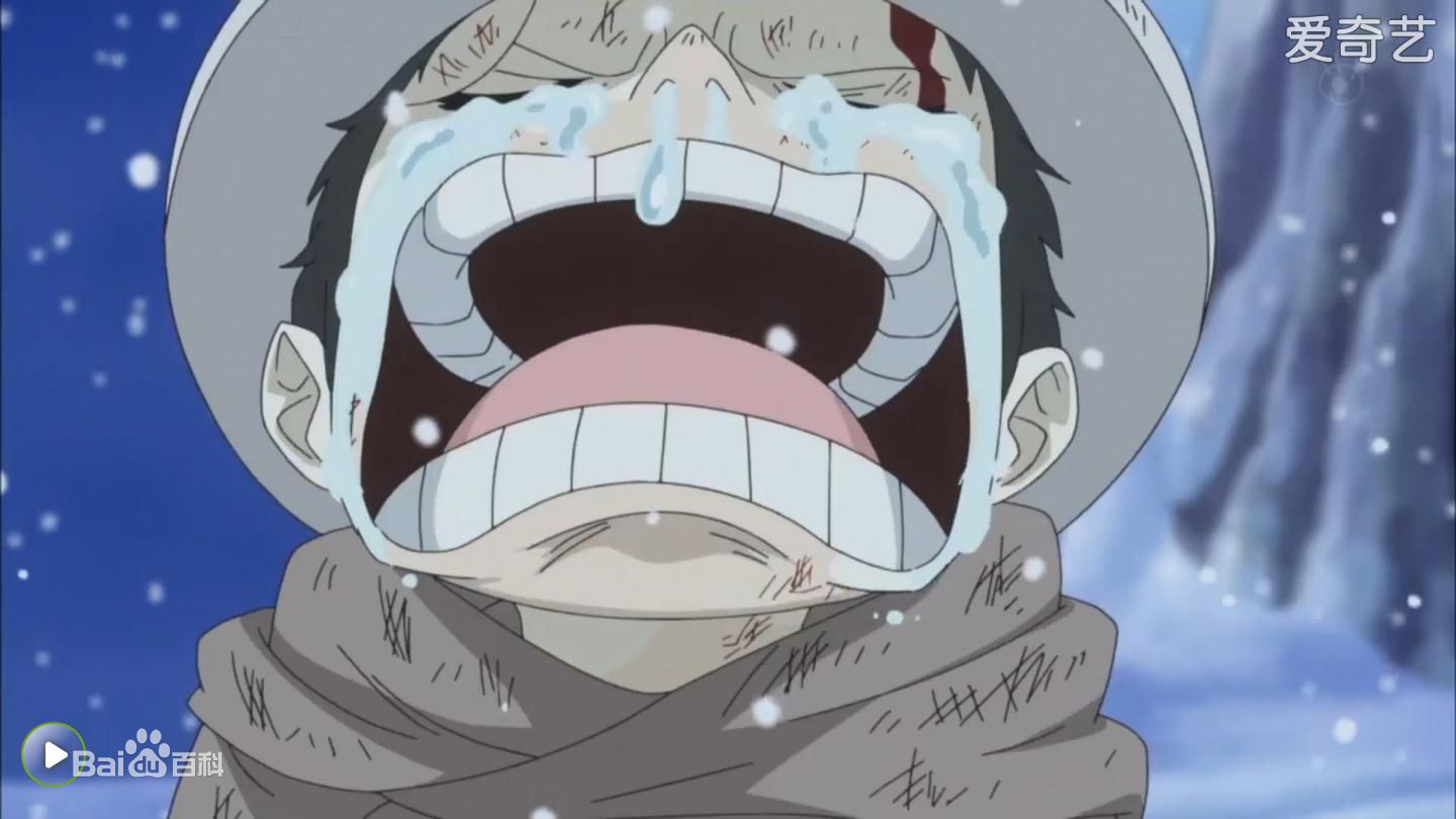 最全特拉法尔加·罗（特拉法尔加·D·瓦铁尔·罗）(Trafalgar Law（Trafalgar D Water Law）<br>トラファルガー ロー（トラファルガー D ワーテル ロー）)素颜照