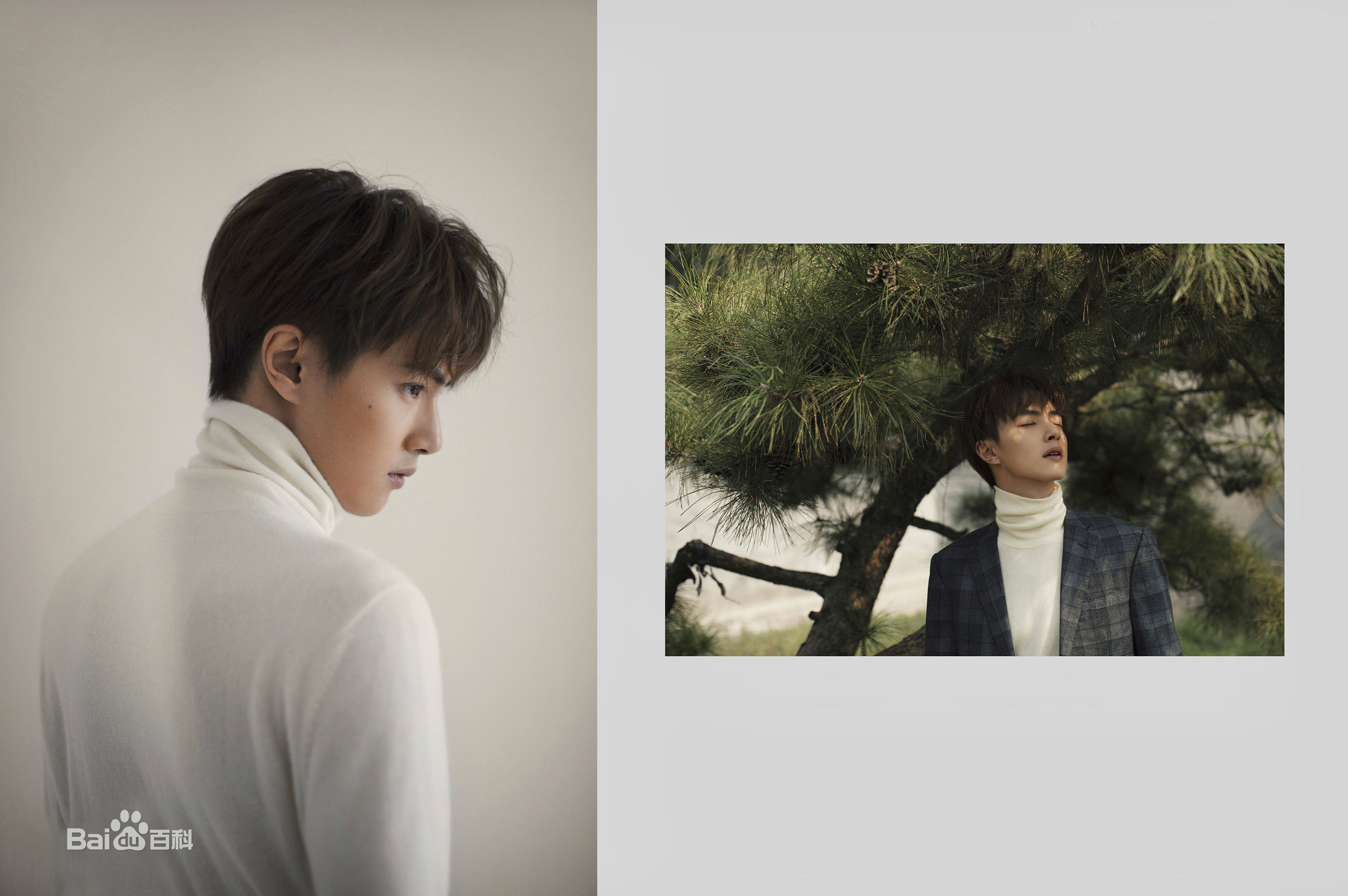 官鸿精选杂志图册