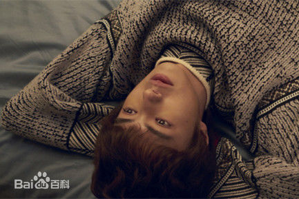 官鸿流星花园壁纸壁纸