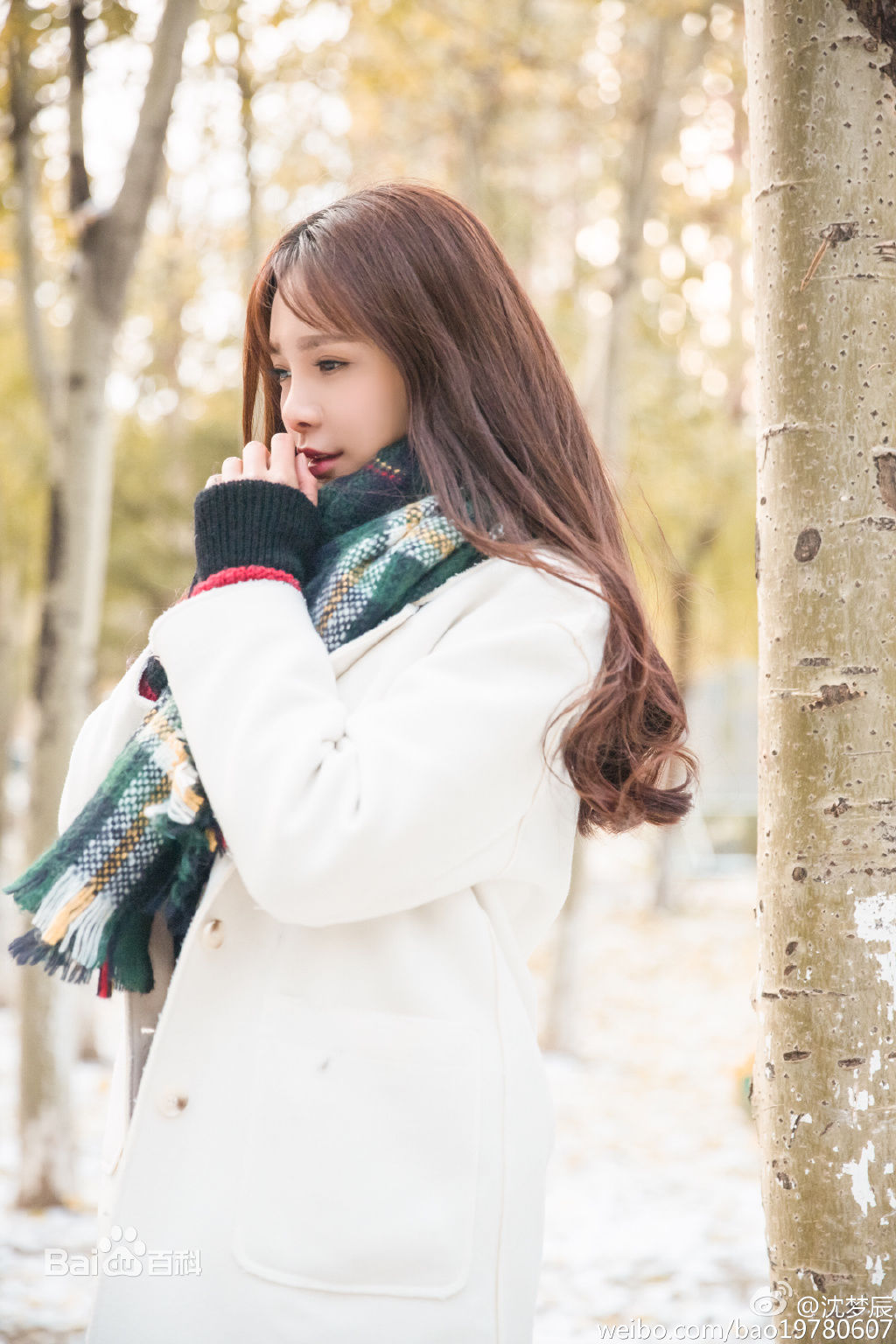 沈梦辰(Shen Mengchen)最新冬日系列壁纸
