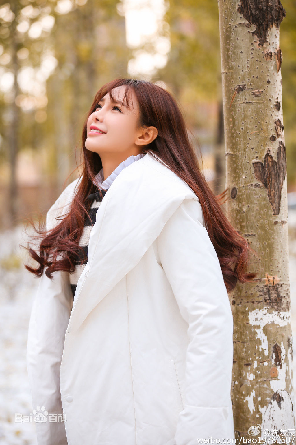 沈梦辰(Shen Mengchen)最新冬日系列壁纸