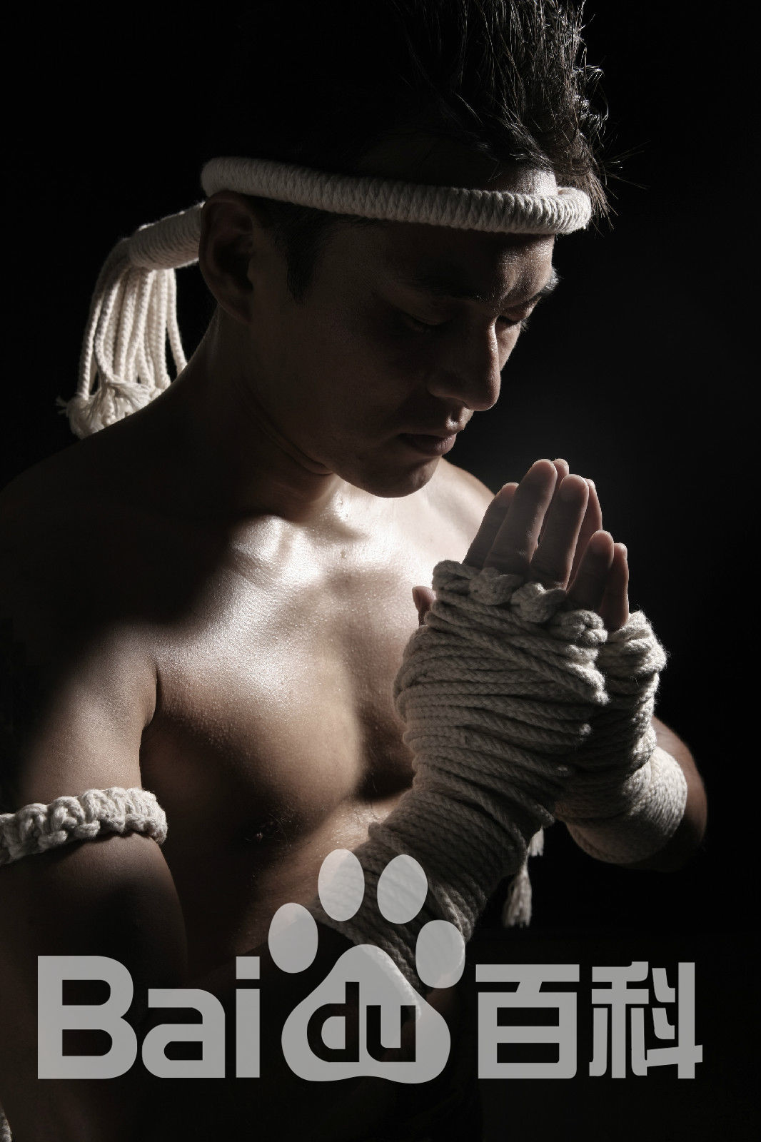 最全石峯(Andy)壁纸