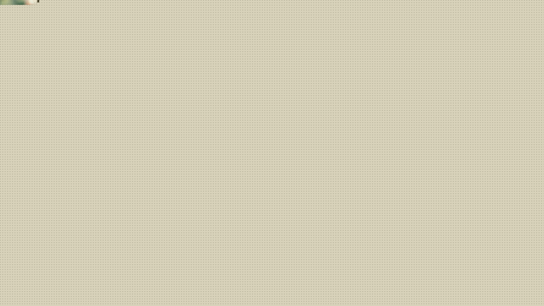 最新谷尚蔚在《十三猎杀》高浪中的壁纸