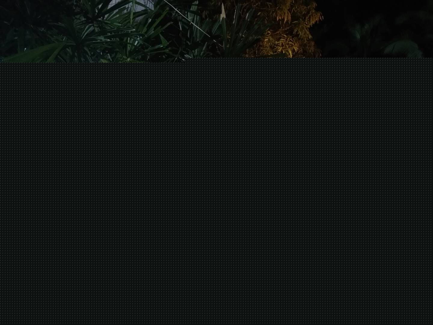 最新谷尚蔚在《牺牲者》饰中国警察中的壁纸