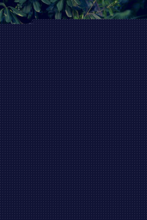 高清快乐家族(Happy Family)图片