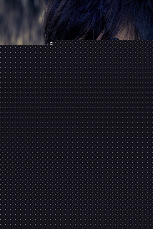 高清快乐家族(Happy Family)图片