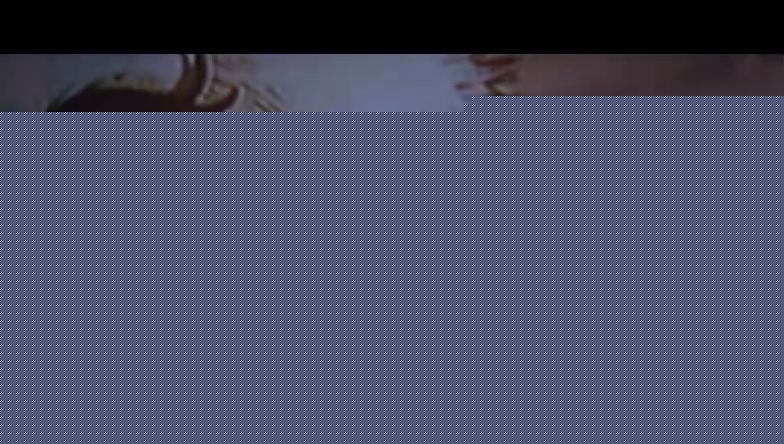 最优质塞斯·亚伦·罗根(Seth Aaron Rogen)塞斯·罗根精彩图册