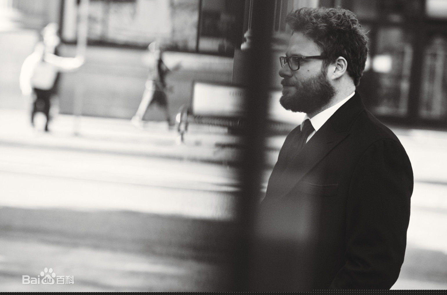 高清塞斯·亚伦·罗根(Seth Aaron Rogen)性感图片