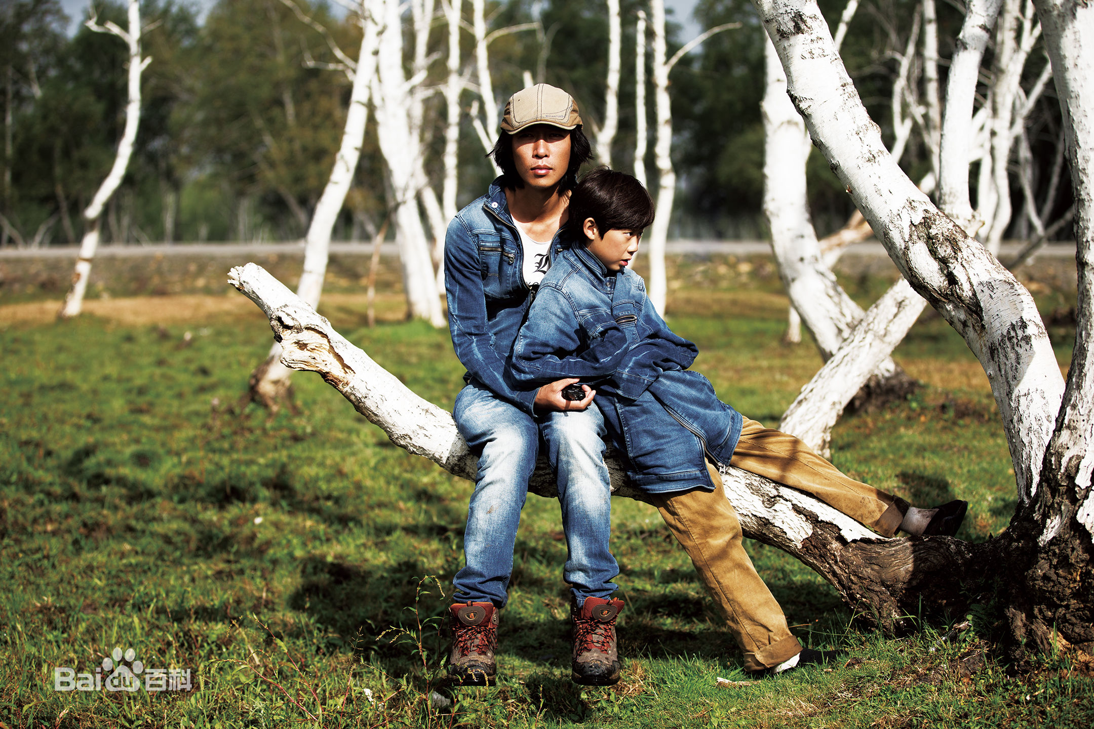 张罗平工作照性感图片壁纸