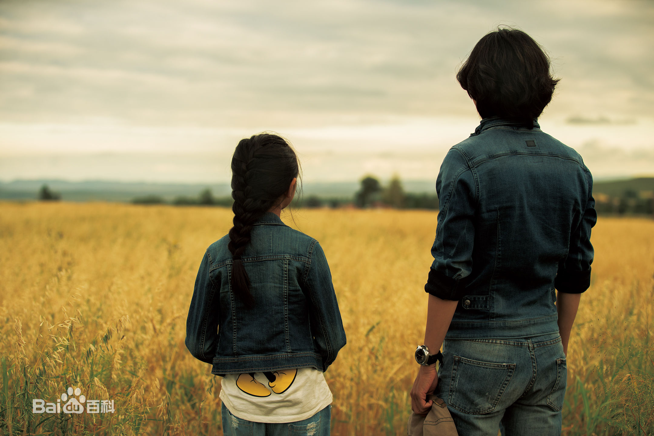 张罗平工作照性感图片壁纸