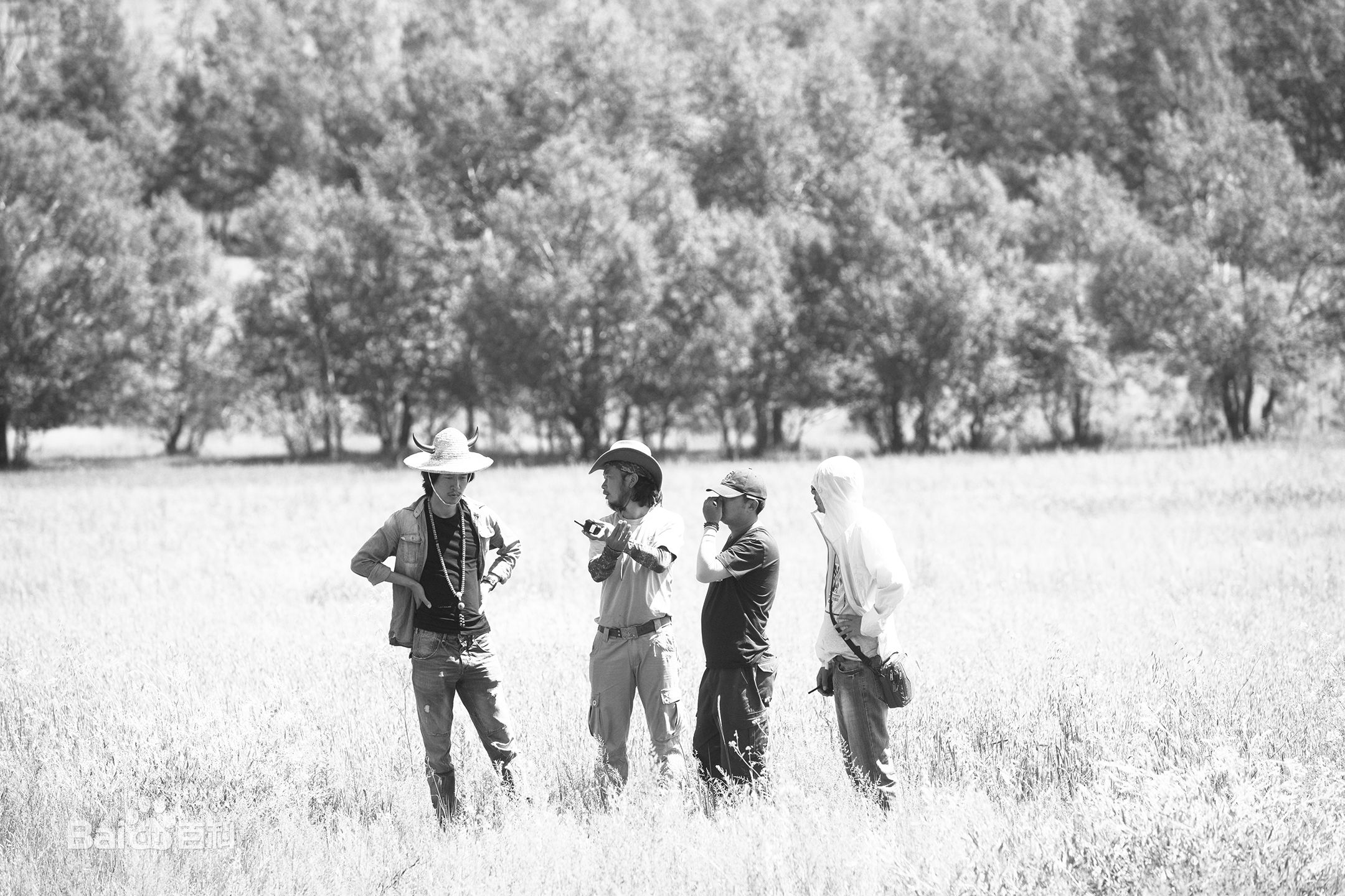 张罗平工作照性感图片壁纸