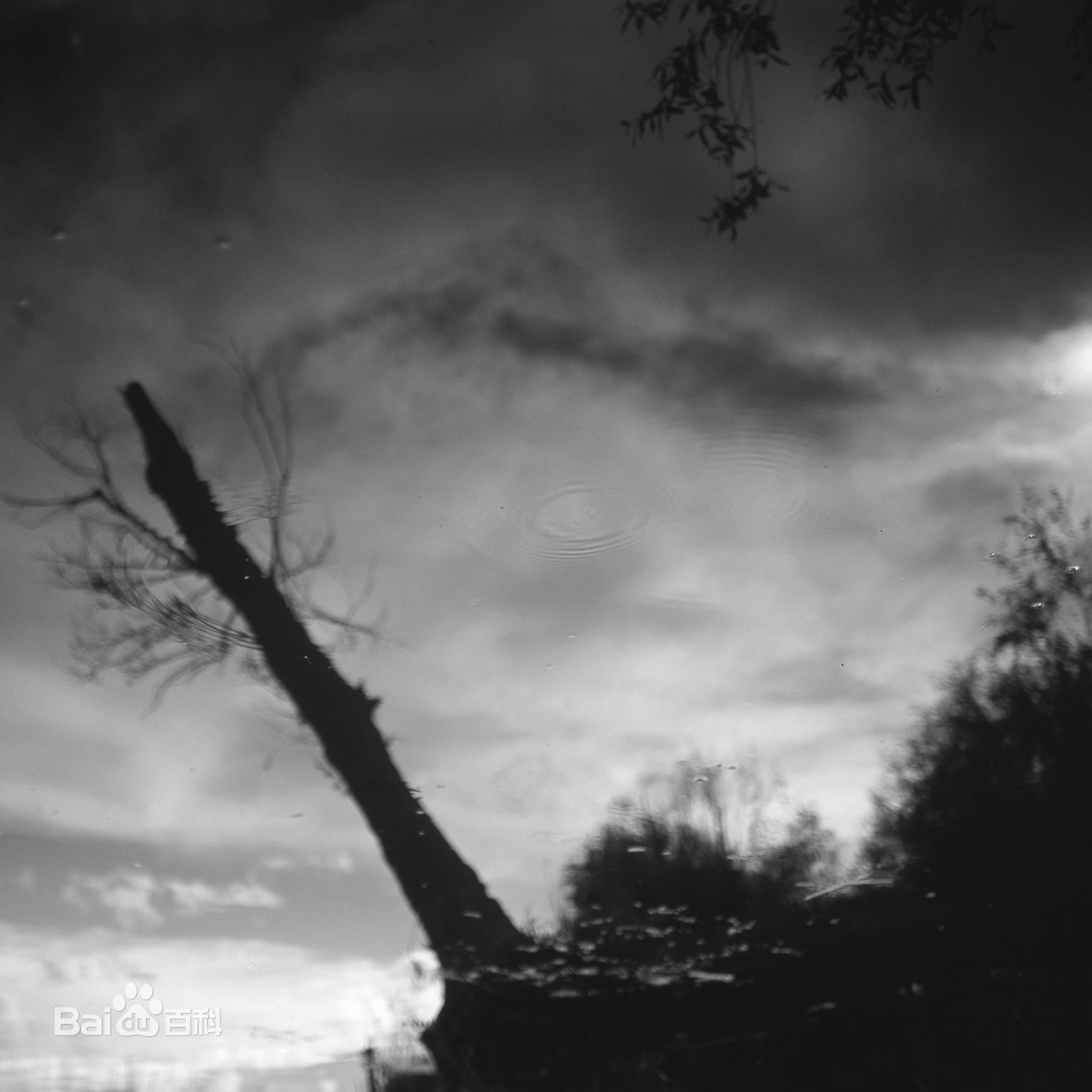 张罗平风景作品前后照片