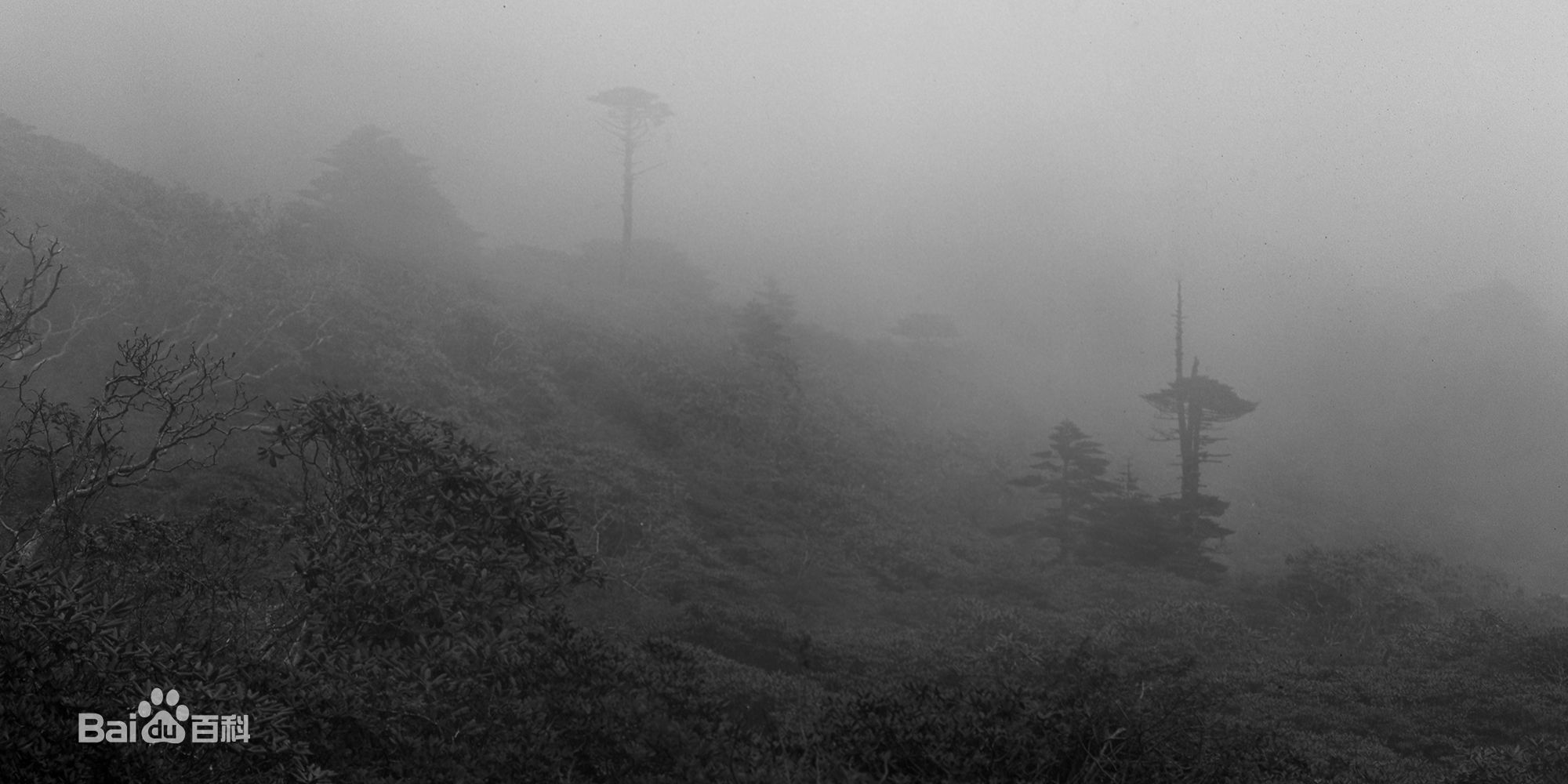 张罗平风景作品前后照片