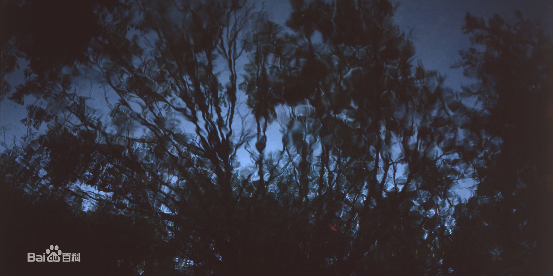 张罗平风景作品前后照片