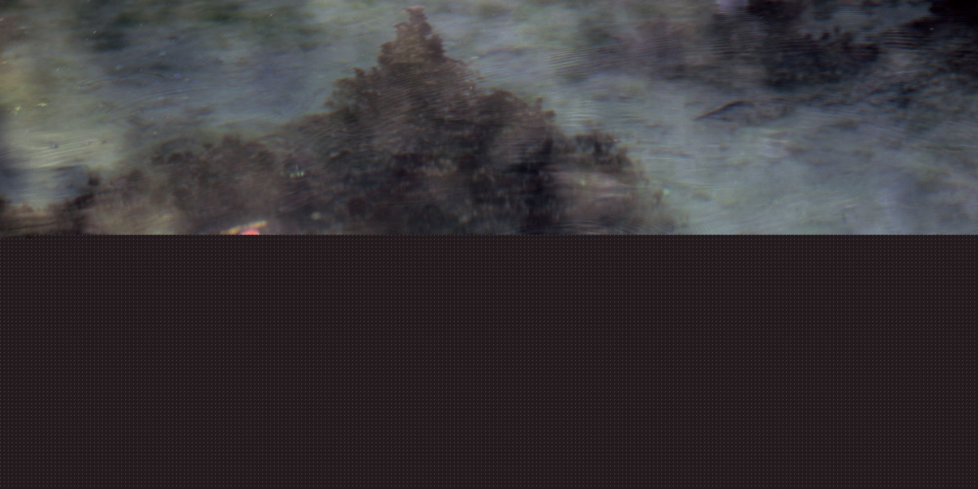 张罗平风景作品前后照片