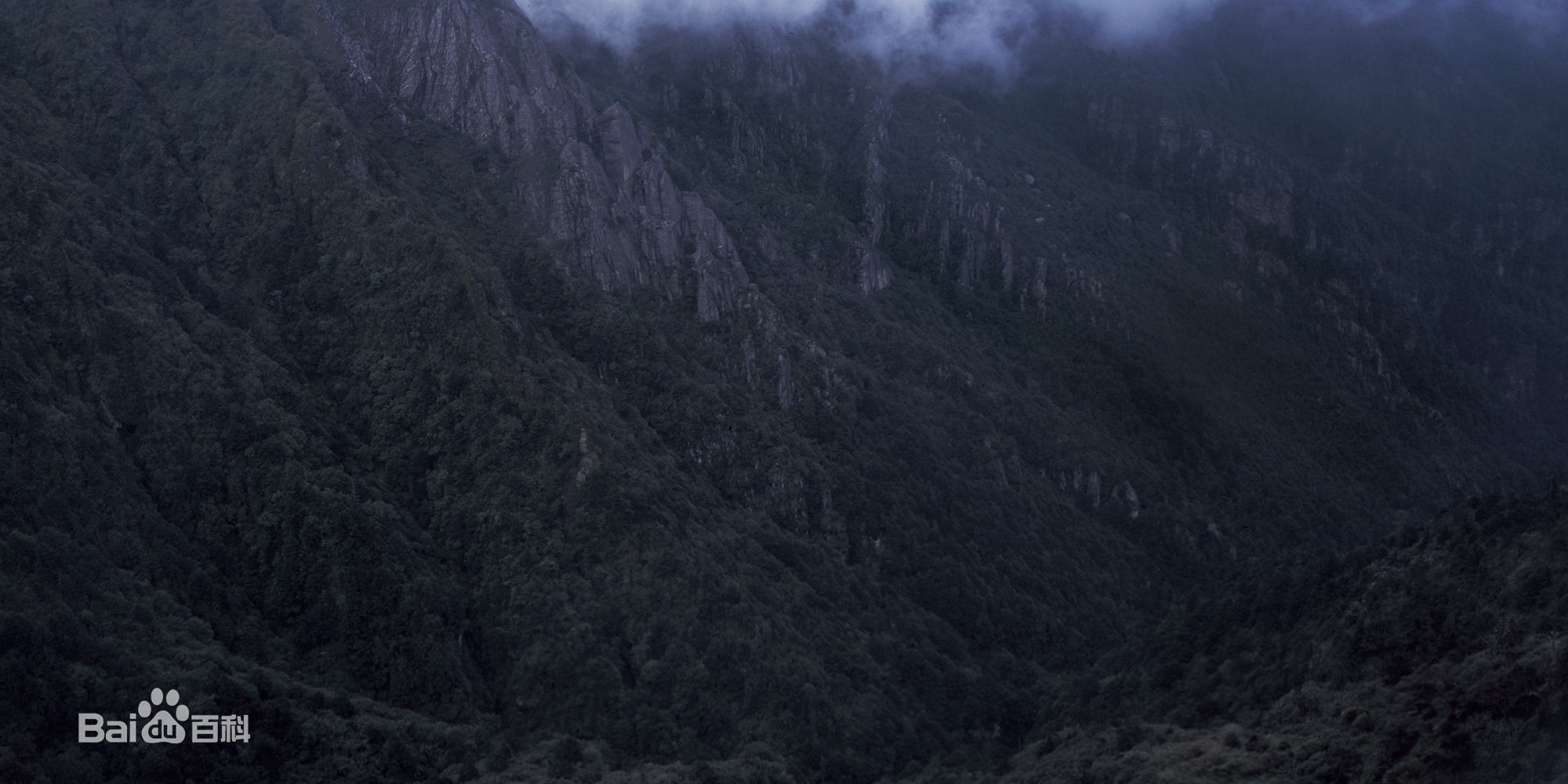 张罗平风景作品前后照片