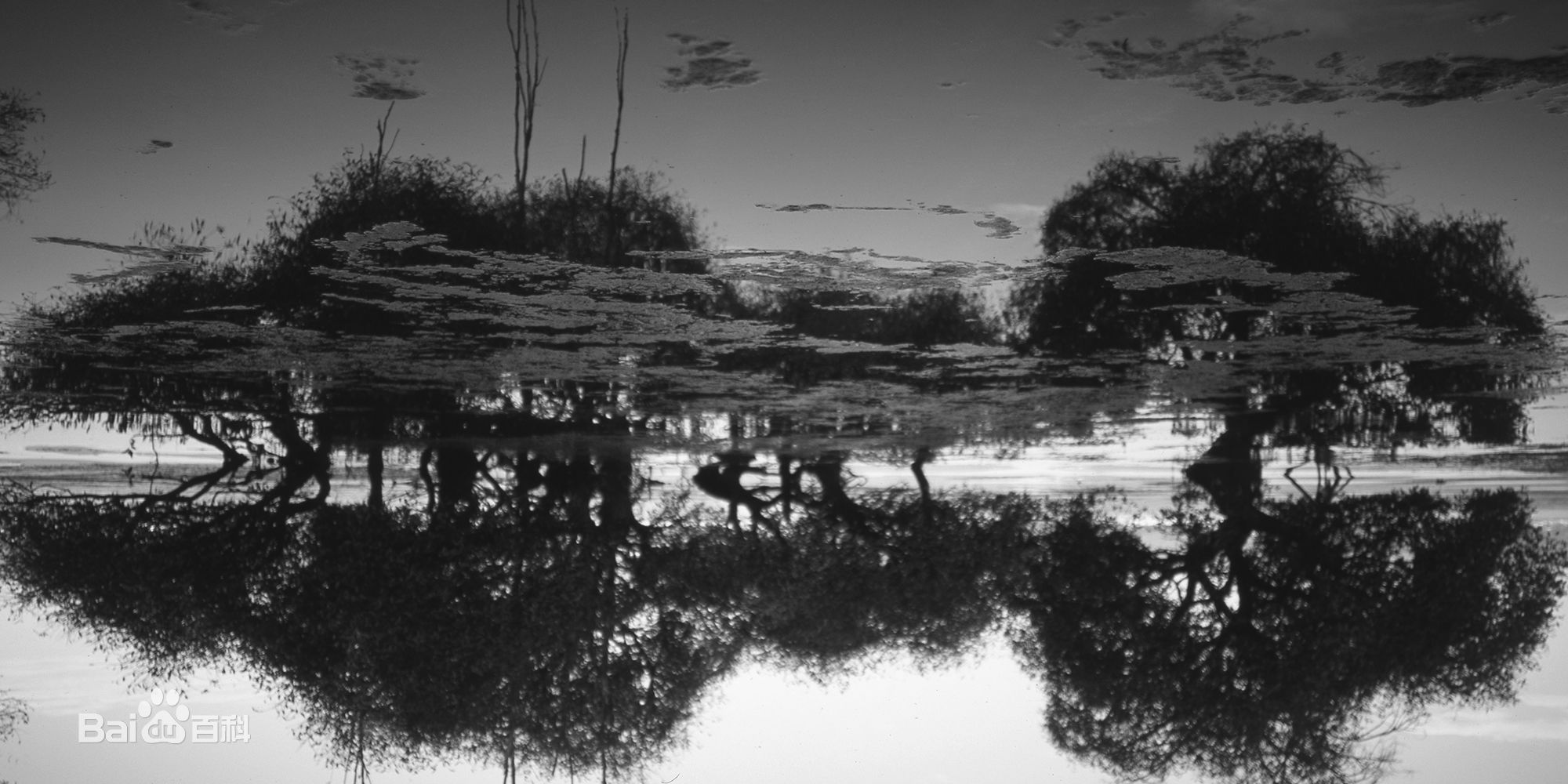 张罗平风景作品前后照片