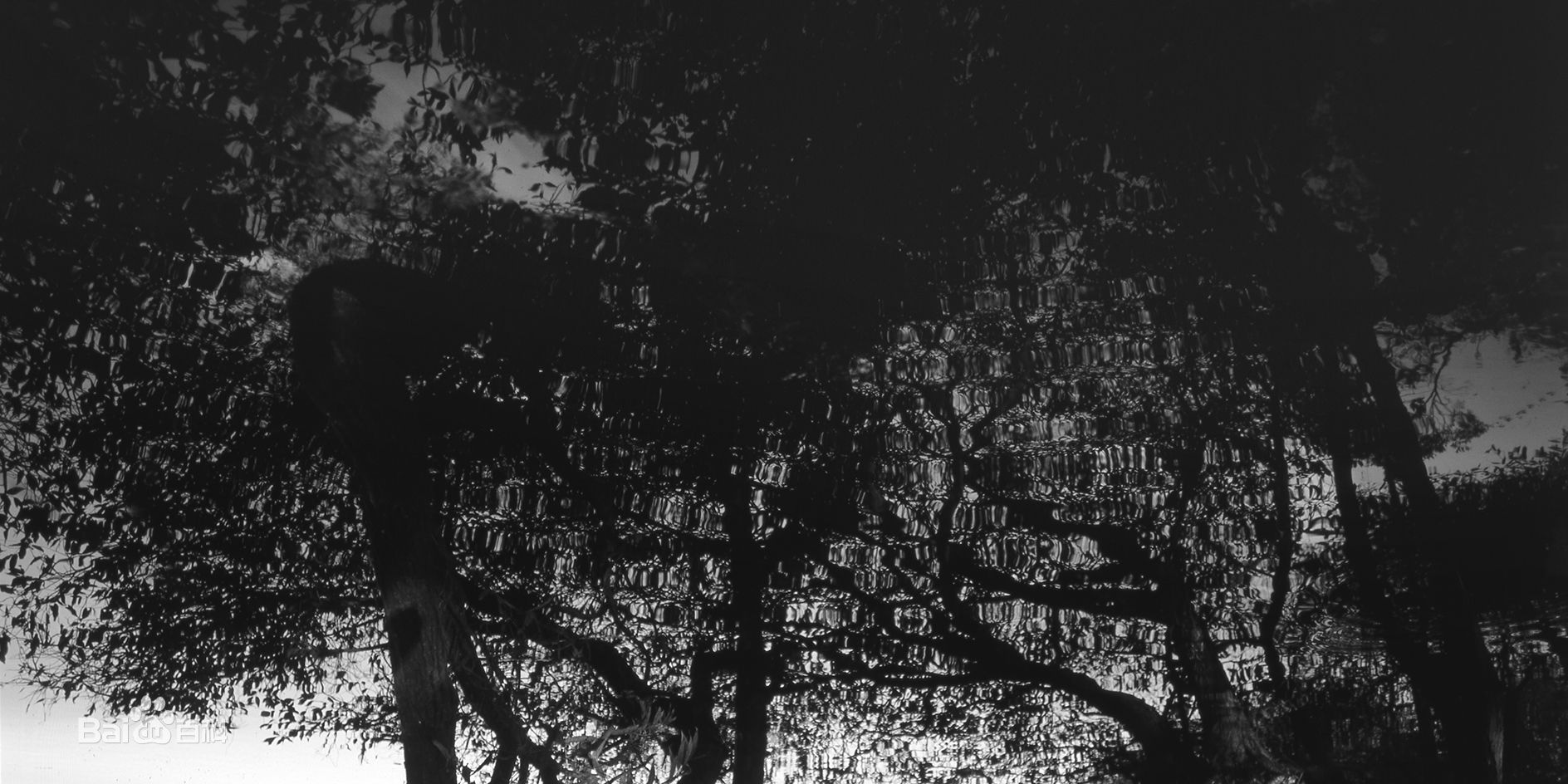 张罗平风景作品前后照片