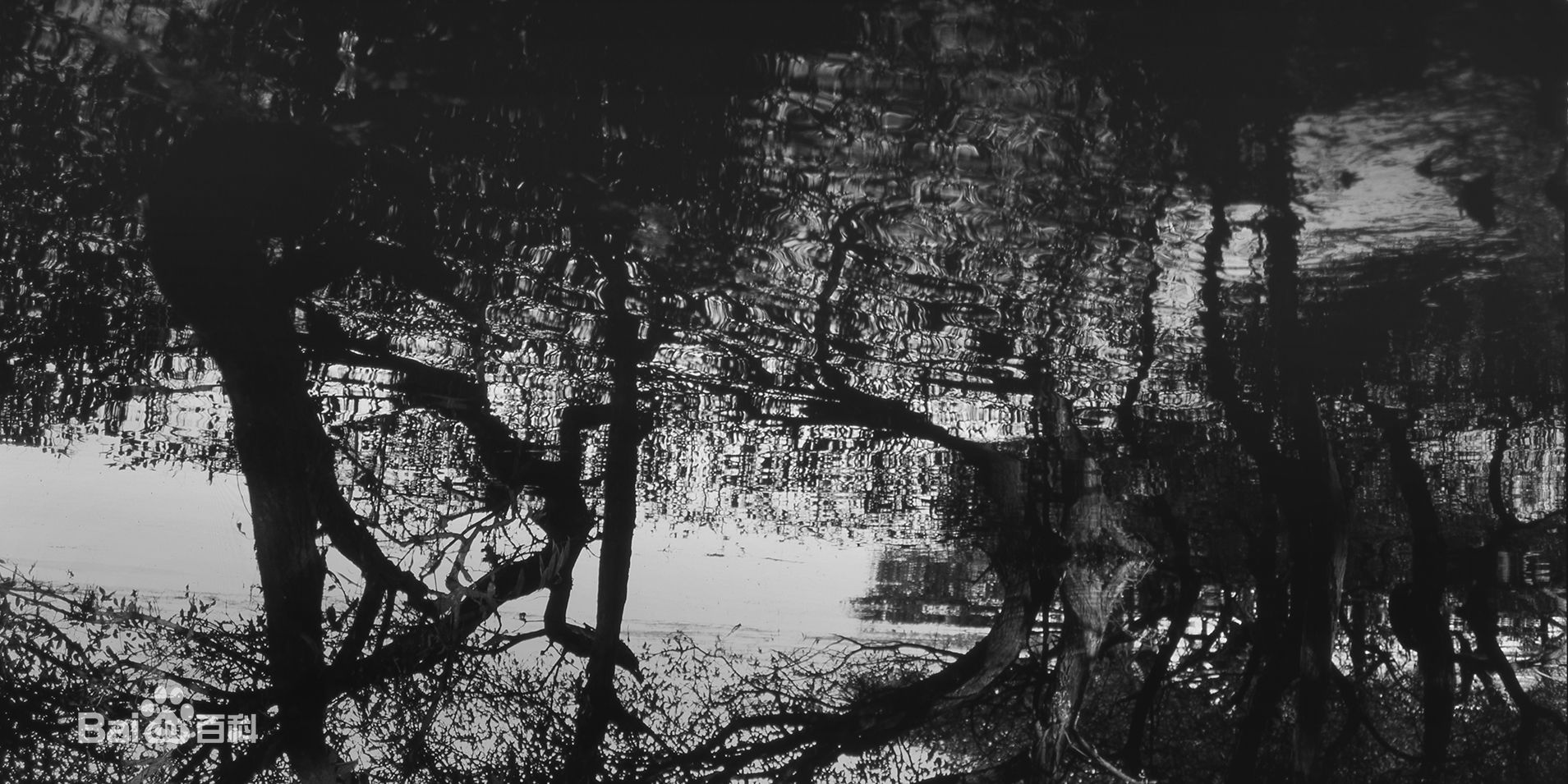 张罗平风景作品前后照片