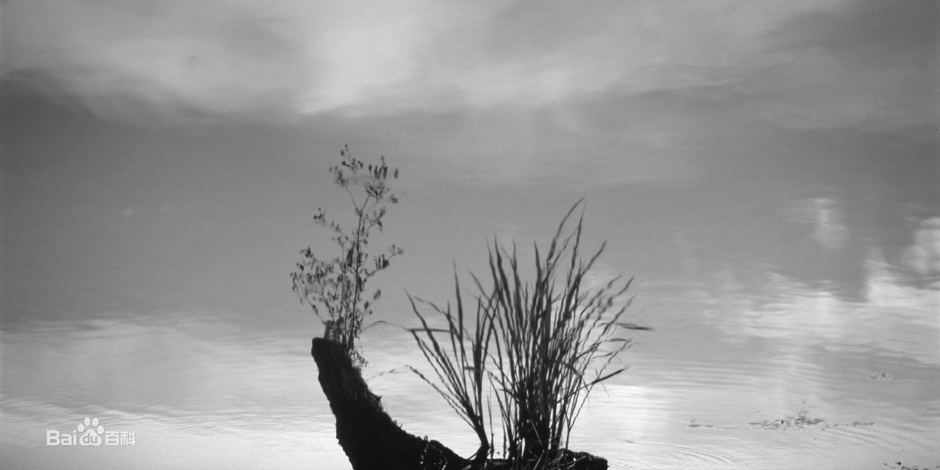 张罗平风景作品前后照片