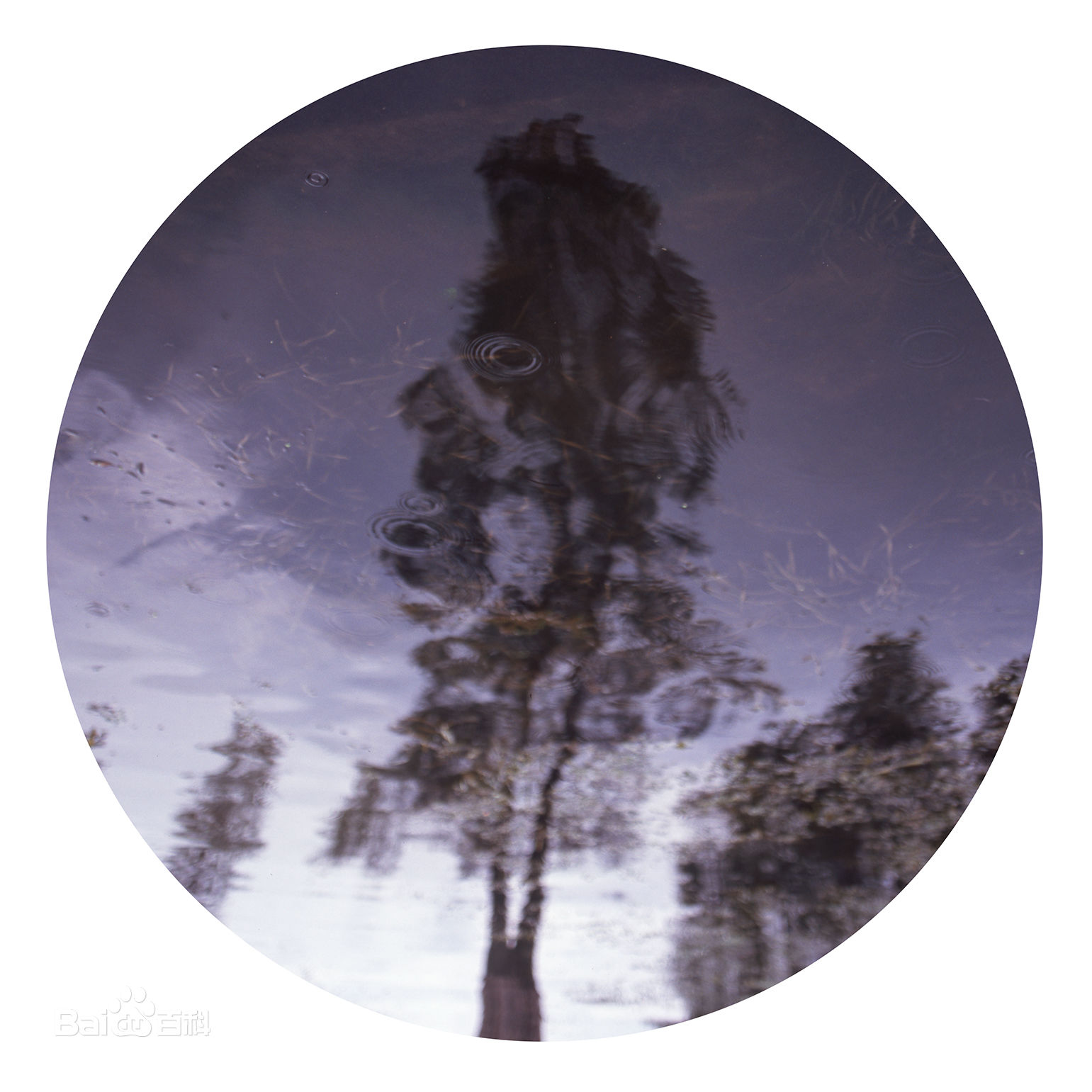 张罗平风景作品前后照片