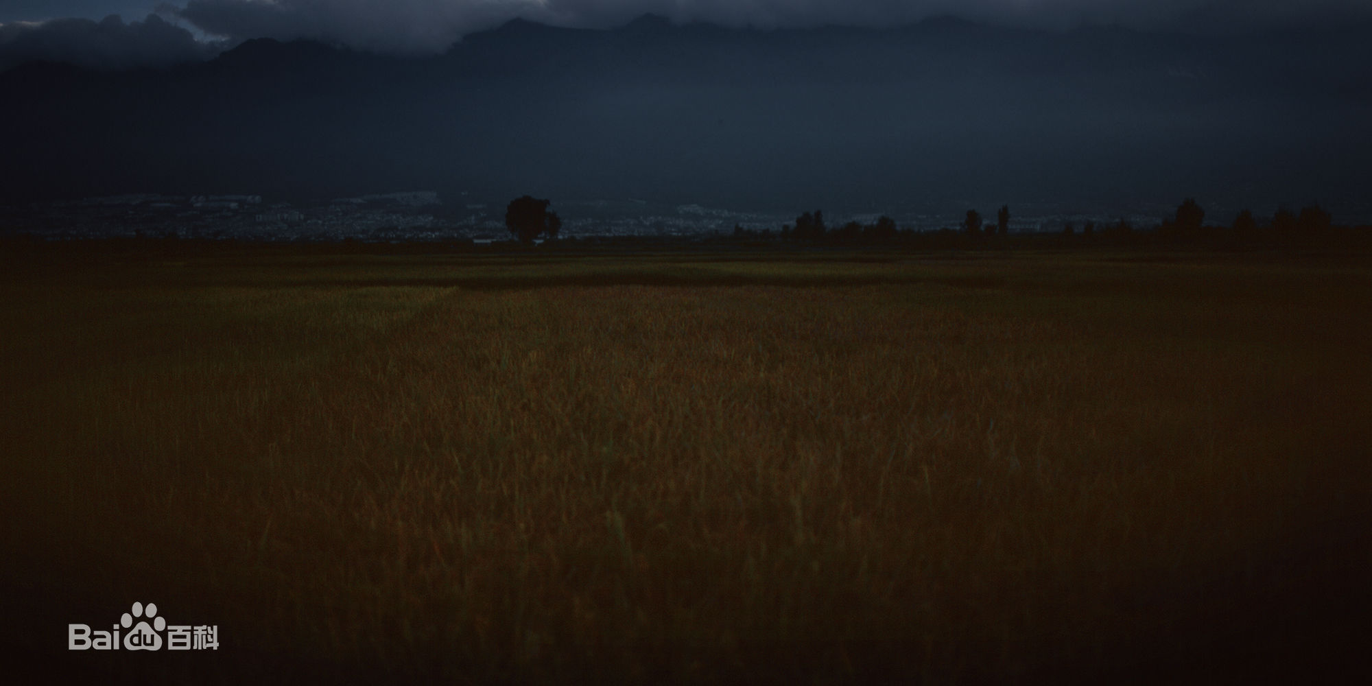 张罗平风景作品前后照片